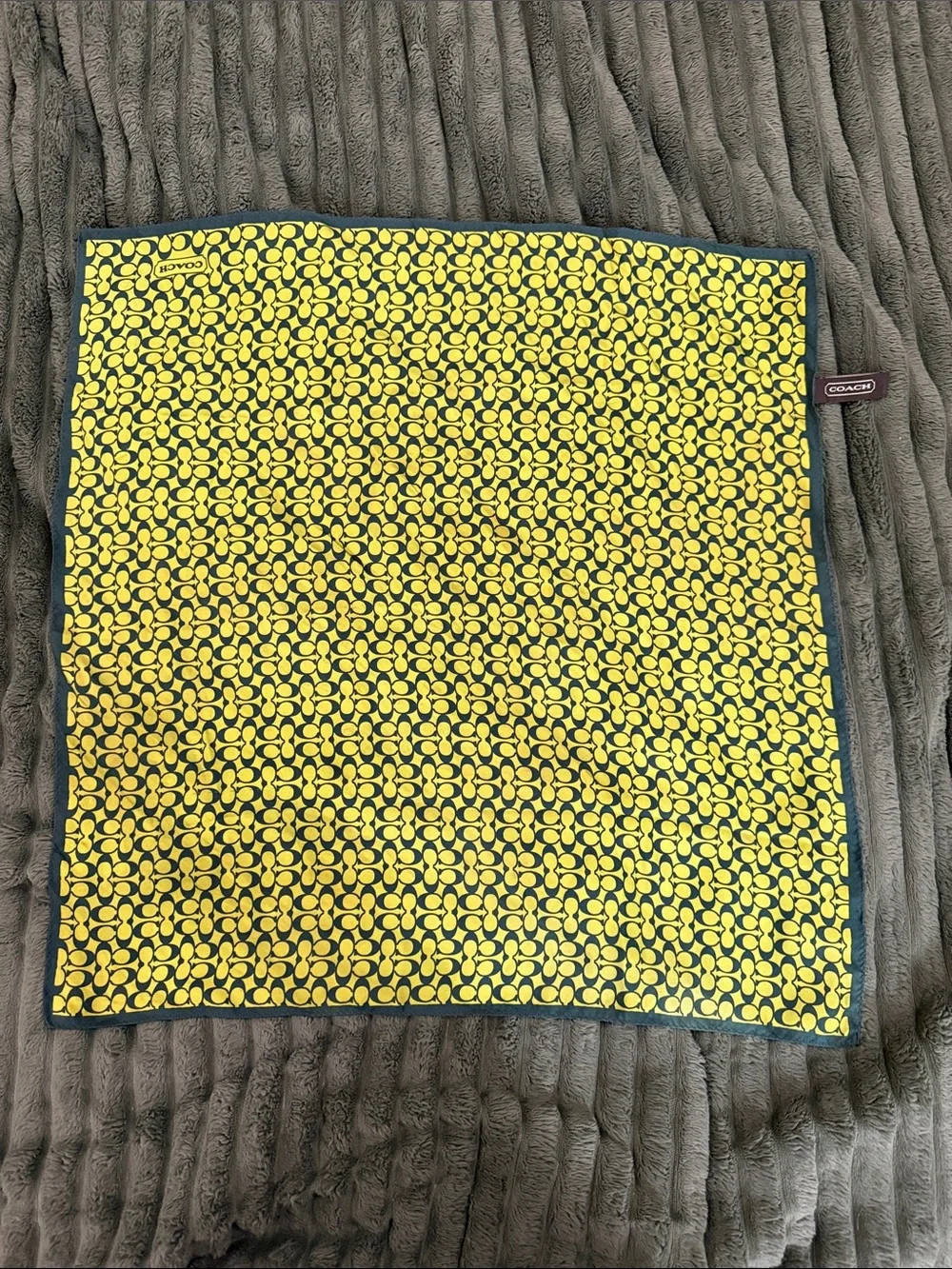 Coach Green Silk Square Scarf